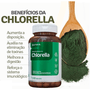 Chlorella (Clorela) 60 Capsulas Nutrye