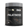 Palatinose 400g Dux