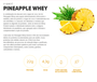 Pineapple Whey (Sabor de Abacaxi com Água de Coco) Sachê 34g Essential