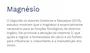 Trio Magnésio (Dimalato, Bisglicinato de Magnésio e Óxido de Magnésio) 60 Cápsulas Ocean Drop